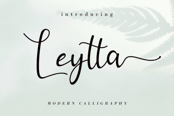 Discover Leytta: A Hand-Lettered Font for Elegant Editorial Design
