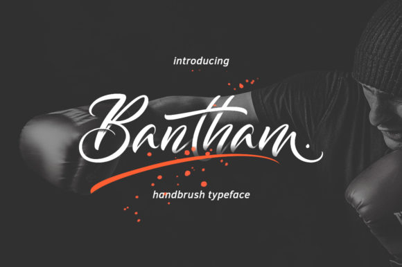 Enhance Your Brand with Bantham: A Charming Handwritten Font