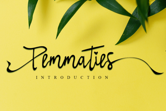 Pemmaties: A Script Amp Font for Elegant Projects